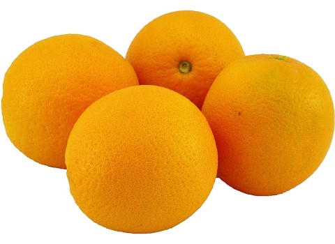 خرید و قیمت پرتقال رامسر + فروش عمده